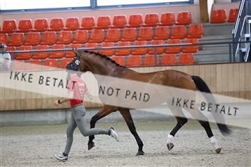 175139_bc_03_R62_4246.JPG