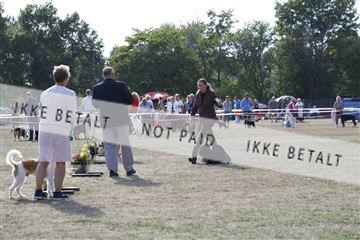 181848_kar_01__62_2561.JPG