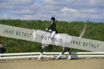 136195_abo_01__AB16774.JPG