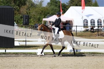 181894_mtp_05_R62_4632.JPG