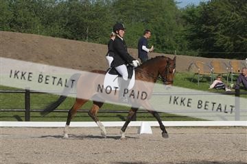 135086_sg_01_IMG_1783.JPG