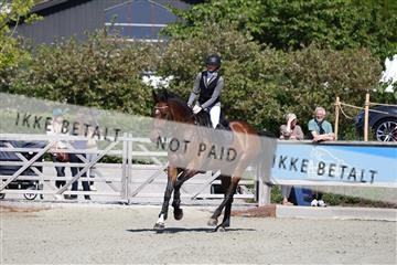 181436_avh_02_3781.JPG
