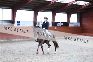 175442_kbb_01_R6II0238.JPG