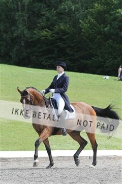 135676_sg_01_IMG_8002.JPG