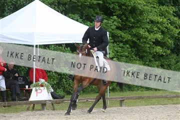135518_ms_01_IMG_1324.JPG