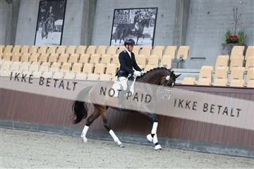 181852_mtp_03_R62_2154.JPG
