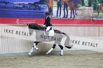 181887_mtp_04_R62_8824.JPG
