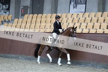 181852_mtp_02_R62_1869.JPG
