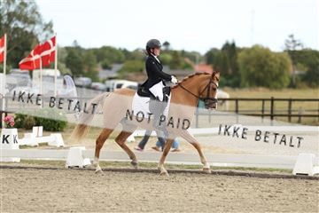 181894_mtp_03_R62_2433.JPG