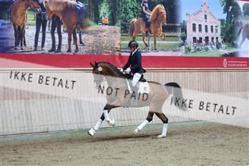 181887_mtp_01_R62_7098.JPG