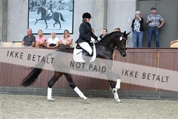 181852_mtp_05_R62_3131.JPG