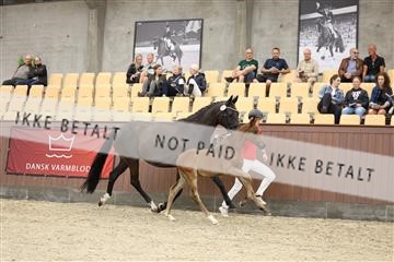 174806_jss_04_R6II4054.JPG