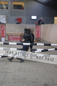 153176_ms_01_MS15750.JPG