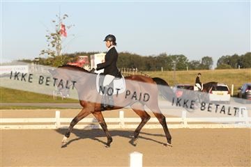 148862_sg_01_IMG_2139.JPG