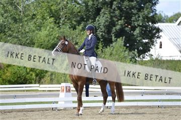 136195_abo_01__AB15957.JPG