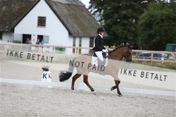 166238_mtp_01_3M5A0050.JPG