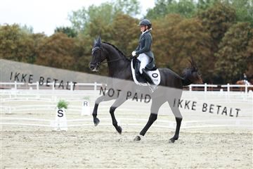 181923_mtp_01_R62_6962.JPG
