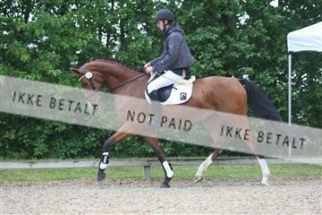 135518_ms_01_IMG_0917.JPG