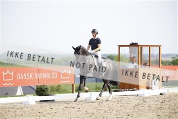 181449_kbb_02_6II1376.JPG