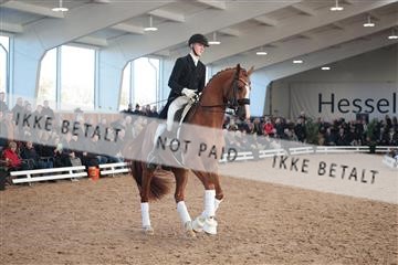 179022_kbb_01_R6II2971.JPG