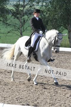135676_sg_01_IMG_7433.JPG