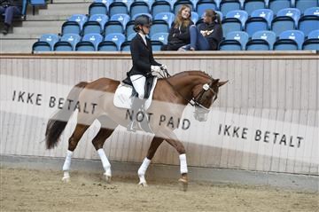 160111_nn_01__ESK1364.JPG