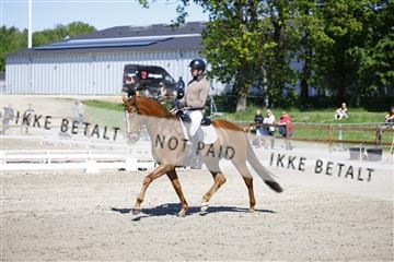 181449_kbb_01_6II9180.JPG