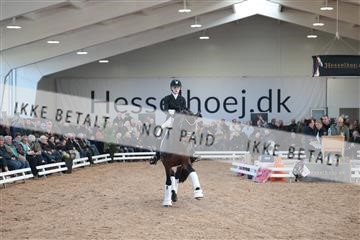 179022_kbb_01_R6II2445.JPG