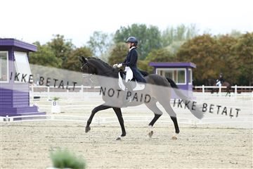 181923_mtp_04_R62_8568.JPG