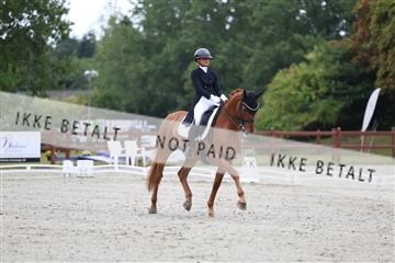 181923_mtp_01_R62_6232.JPG