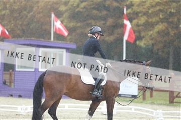 181923_mtp_03_R62_7600.JPG
