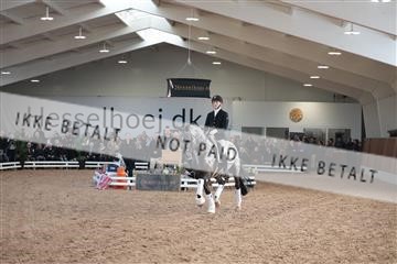 179022_kbb_01_R6II2484.JPG