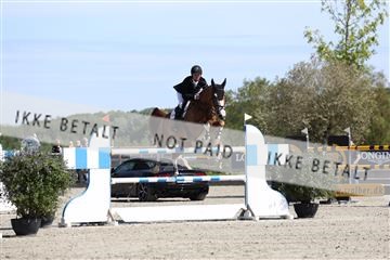181436_avh_02_3812.JPG
