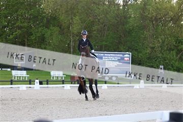179330_avh_01_4934.JPG