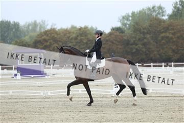 181923_mtp_03_R62_7621.JPG