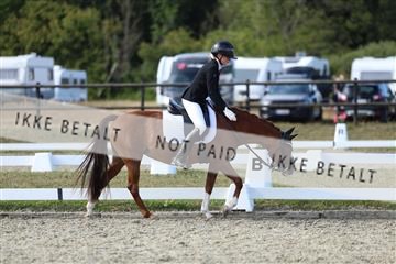 181894_mtp_05_R62_5241.JPG