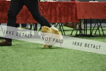163793_bkn_01__BKN9158.JPG