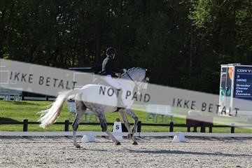 179330_avh_01_5003.JPG
