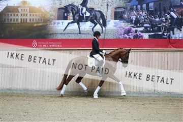 181887_mtp_04_R62_8319.JPG