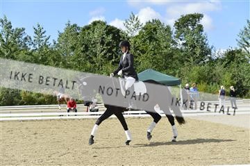 136195_abo_01__AB15940.JPG