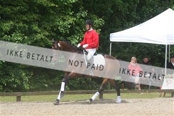 135518_ms_01_IMG_1284.JPG