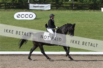 135676_sg_03_IMG_9889.JPG