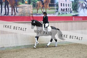 181887_mtp_04_R62_9335.JPG
