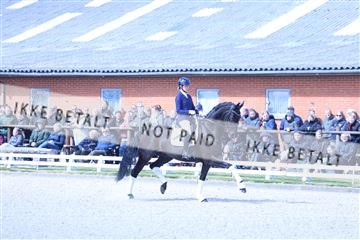174513_jss_01_R6II8071.JPG