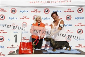 181848_kar_01__62_2800.JPG