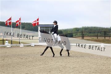 181894_mtp_04_R62_3271.JPG