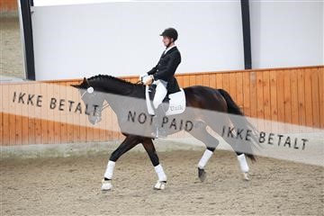 175681_avh_01_R62_0498.JPG