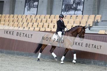 181852_mtp_02_R62_1824.JPG