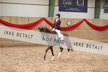 171342_mtp_01_3M5A7818.JPG