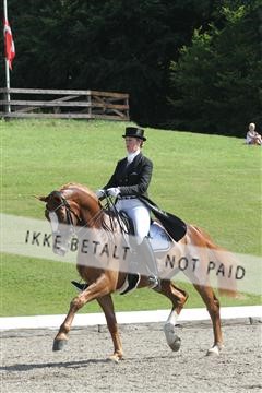 135676_sg_01_IMG_7823.JPG